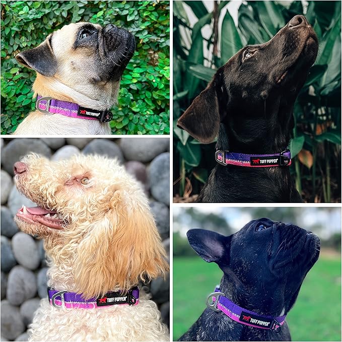 Tuff Pupper Heavy Duty Dog Collar | Reflective with Aluminum D-Ring Leash Clip | Separate Dog ID Tag Attachment | Easy Sizing for All Breeds