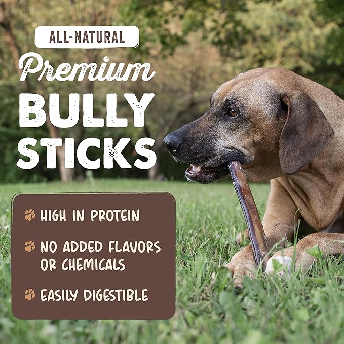 Mighty Paw Naturals 12" Bully Sticks for Dogs - Grass Fed Beef Chews. Dog Bully Sticks for Large Dogs, Medium and Small Breeds. Lower Odor Treats for Small Pets. Single Ingredient