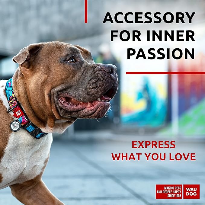 WAUDOG Nylon Dog Collar - Adjustable Dog Collar for Large Dogs, Small & Medium Dogs - Breakaway Puppy Collars for Large Breed Dogs - Boy & Girl Dog Collars with Durable Plastic Buckle and QR Dog Tag