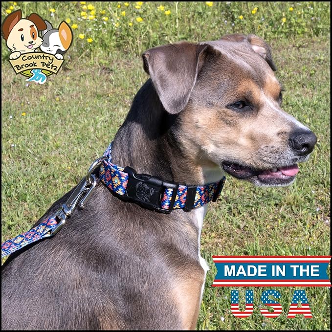 Country Brook Petz - Deluxe Utah Dog Collar - Made in The U.S.A. - Country and Western Collection Featuring Rustic Designs (1 Inch, Large)