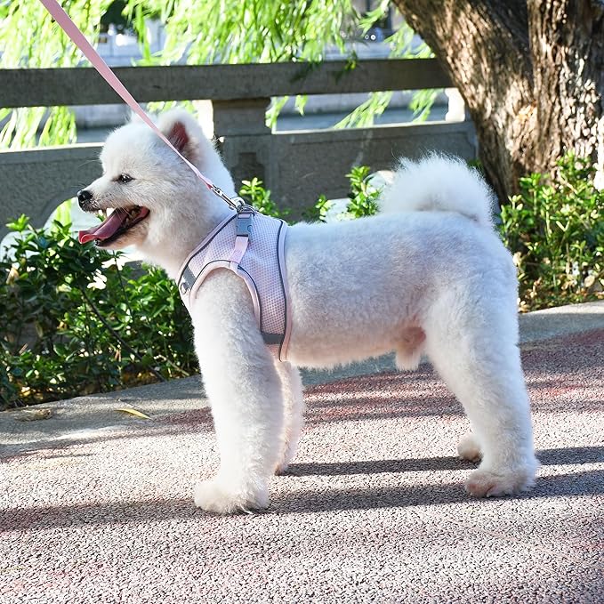 AIITLE Puppy Harness and Leash Set for Walking, Step in Dog Harness, Soft Breathable Pet Supplies, Reflective Bands, for Extra Small Dogs and House Cats Pink XXXS