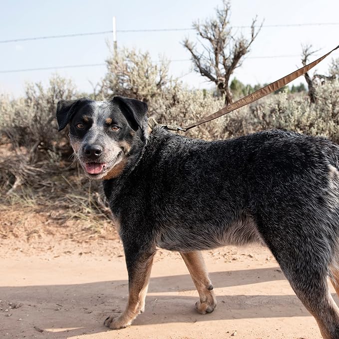 Carhartt Pet Durable Nylon Webbing Leashes for Dogs, Reflective Stitching for Visibility, Duck Camo Tarmac, Small