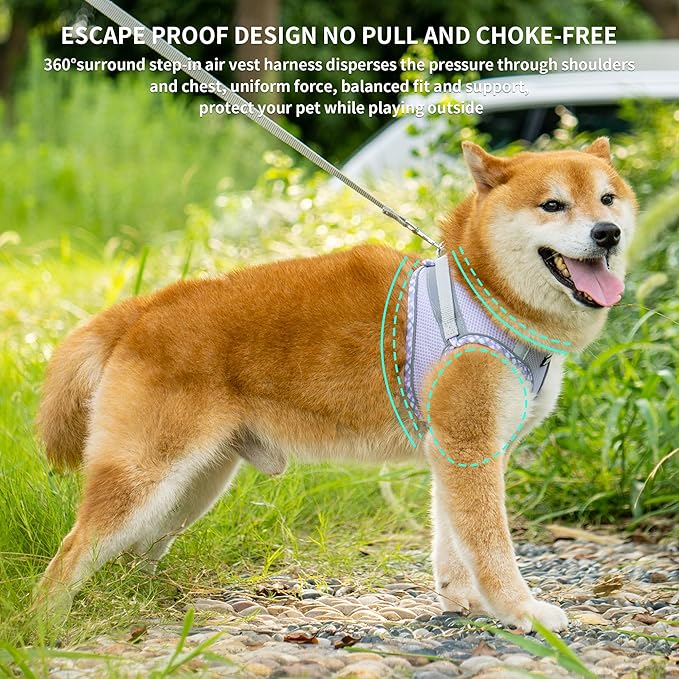 AIITLE Teacup Puppy Harness with Leash - Adjustable Soft Vest with Magic Velcro & Reflective Safety Strips, Easy-Put-On for Poodles, Pomeranians - Gym, Hiking, Travel (Purple, S)