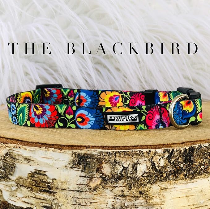 Lucky Love Dog - Adjustable Dog Collar with Easy Click Buckle for Small to Large Ones, Durable, & Comfortable for Male & Female Dogs, Pet Collar for Puppies & Adult Dogs - Blackbird, Small