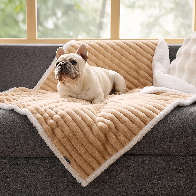 Bedsure Waterproof Dog Blankets for Medium Dogs - Soft Puppy Cat Blanket Corduroy Fleece Washable, Cozy Calming Reversible Furniture Protection for Pet Kitten Doggy,30"x40", Tuscan Beige