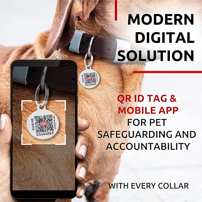 WAUDOG Long Lasting Leather Dog Collar for Large Dogs, Medium & Small Dogs - Adjustable Classic Puppy Collars for Large Breed Dogs - Boy & Girl Dog Collars with Durable Buckle, D-Ring & QR Dog Tag