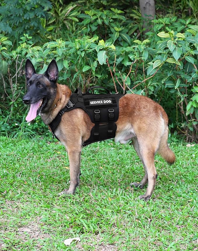 Tactical Dog Harness - PETNANNY Dog Harness Service Dog Vest for Large Breed Dog, Hook and Loop Panel for Service Dog Patchs, Work Dog MOLLE Vest with Handle for Walking Hiking Training(Black,XL)