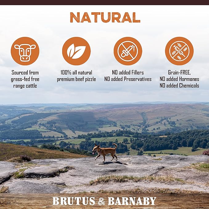 BRUTUS & BARNABY Thick Bully Sticks for Dogs – Odor Free Chews for Large, Medium & Small Breeds – Grain-Free, Rawhide-Free, Digestible Dog Treats – Grass-Fed Beef Chews for Aggressive Chewers