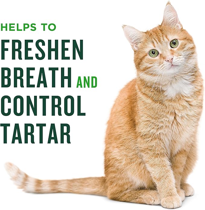Minties Dental Treats for Cats, Salmon Flavored Treats for Cats, Freshens Breath and Controls Tartar, 10oz