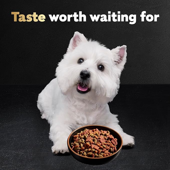 Cesar Small Breed Dry Dog Food Porterhouse Flavor and Spring Vegetables Garnish, 5 lb. Bag