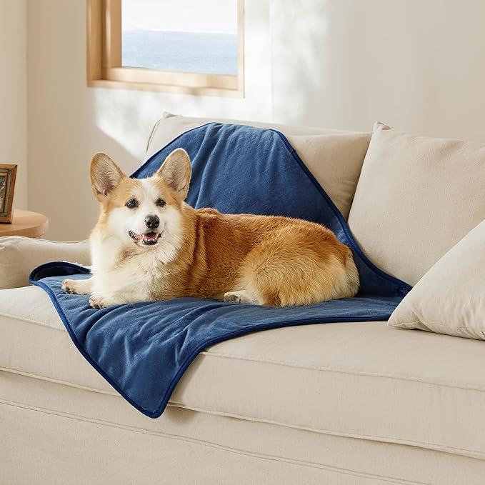 Bedsure Cat Blanket for Indoor Cats - Waterproof Calming Cat Blankets for Couch Protection, Sherpa Fleece Pet Blanket, Soft Plush Reversible Throw Furniture Protector, 50"x40", Blue