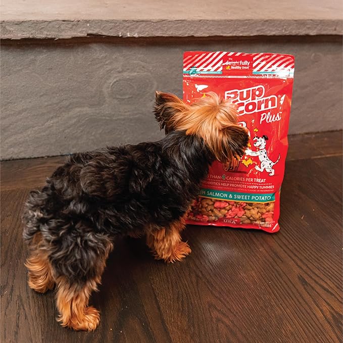 Pup Corn Plus - Puffed Dog Treats with Prebiotics and Probiotics - Salmon & Sweet Potato (24oz) - Made in USA (Pack of 2)