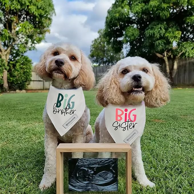 Realeaf Big Sister Dog Bandanas Pet Scarf for Large and Extra Large Female Dogs New Baby Announcement Pet Accessories Pregnancy Reveal Ideas (Big Sister, X-Large)
