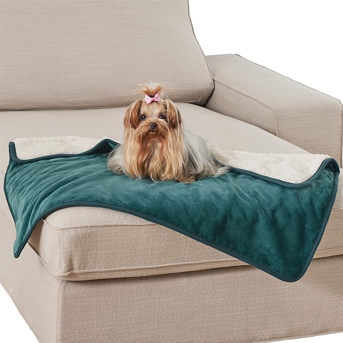 Bedsure Cat Blanket for Indoor Cats - Waterproof Calming Cat Blankets for Kitten, Sherpa Fleece Pet Blanket, Soft Plush Reversible Throw Furniture Protector, 35"x25", Green