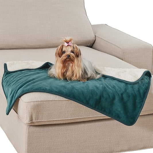 Bedsure Cat Blanket for Indoor Cats - Waterproof Calming Cat Blankets for Kitten, Sherpa Fleece Pet Blanket, Soft Plush Reversible Throw Furniture Protector, 35"x25", Green