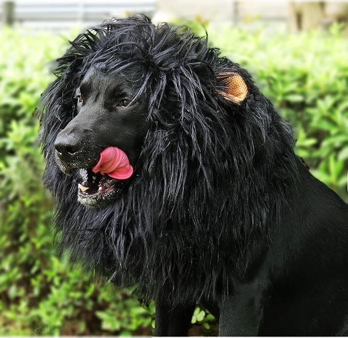 Onmygogo Lion Mane Wig for Dogs with Ears, Funny Pet Costumes for Halloween Christmas (Size L, Black)