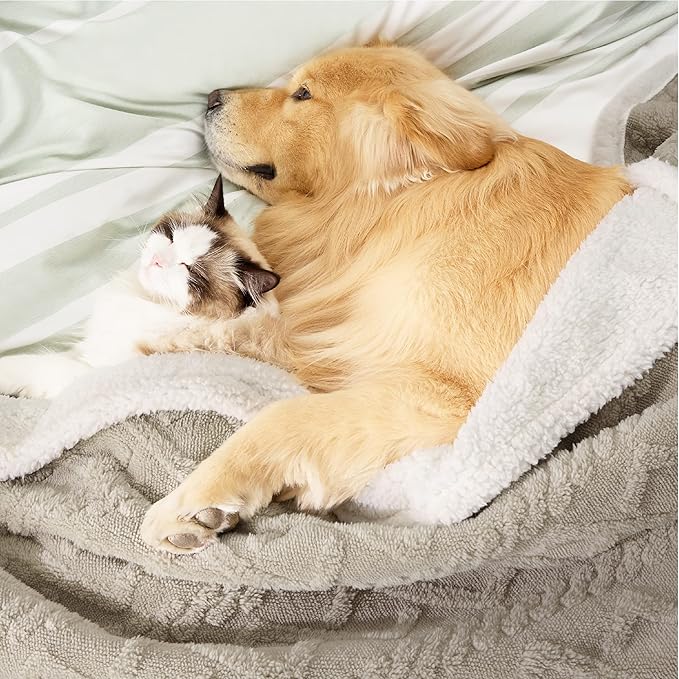 Bedsure Waterproof Dog Blankets for Bed - Pet Blanket for Bed Couch Protector Washable, Jacquard Coral Fleece Cat Throw Blanket, Soft Plush Reversible Furniture Protection, Queen, 86x90, Pale Oak