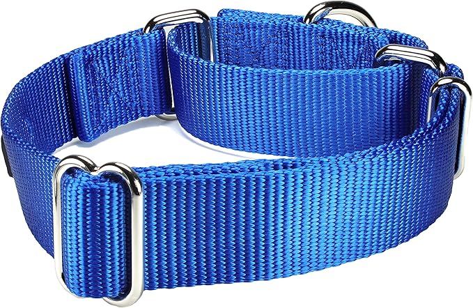 Mikivery Martingale Dog Collar Nylon Adjustable and Safety Training Colourful Comfortable Metal Buckle Pet Collars for Small Medium and Large Dogs(Royal Blue,M)