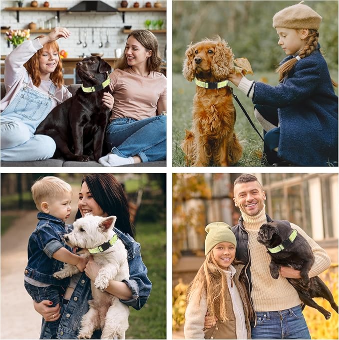 Dog Collar, Daisy Floral Puppy Collar for Boys Girls Small Medium Large Dogs, Adjustable Soft Pet Collar Fancy Floral with Quick Release Buckle for Males Females, Light Green Daisy,S