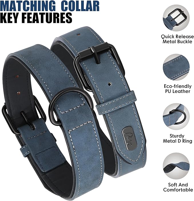 Didog Soft Padded Leather Dog Collar and Leash Set, Heavy Duty Dog Leash and Collar Set with Metal Buckle, Breathable Dog Collars with 4FT Leather Dog Leash for Small Medium Dogs, Blue, M