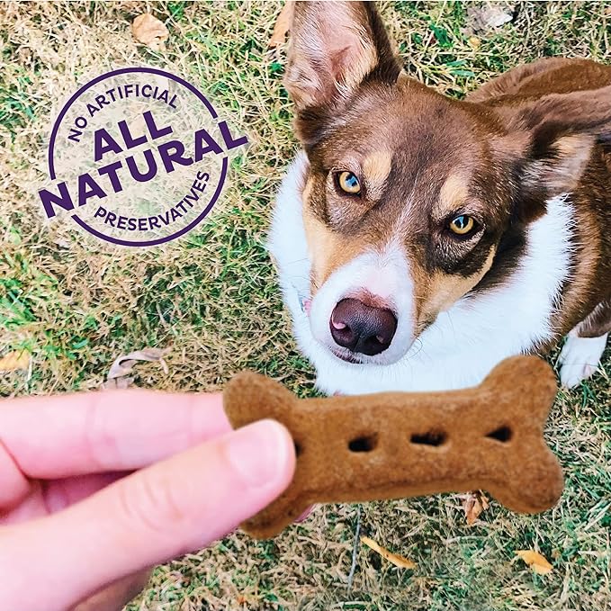 Old Mother Hubbard Wellness P-Nuttier Dog Biscuits, Natural, Training Treats, Peanut Butter Flavor, Large Size, (6 Pound Box)