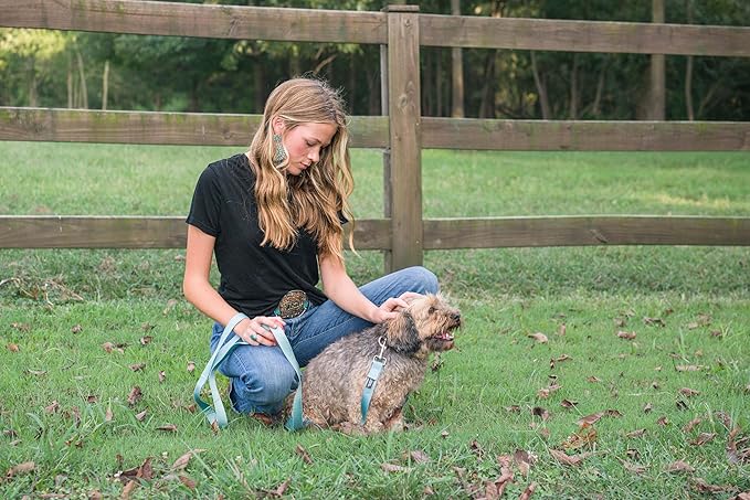 Country Brook Petz - American-Made Dog Collar for Large, Medium, and Small Dogs and Puppies - Deluxe Heavy Duty Nylon in 33 Dazzling Colors (Medium, 3/4 Inch Wide, Ocean Blue)