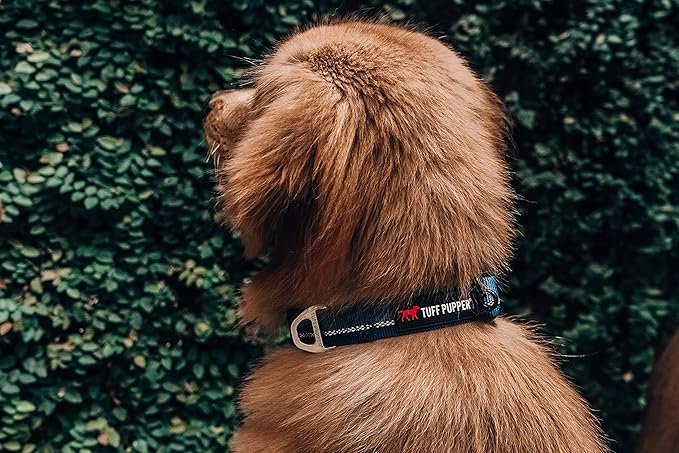 Tuff Pupper Heavy Duty Dog Collar | Reflective with Aluminum D-Ring Leash Clip | Separate Dog ID Tag Attachment | Easy Sizing for All Breeds