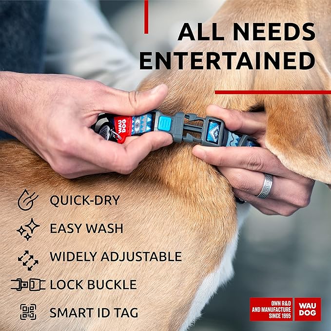 WAUDOG Nylon Dog Collar - Adjustable Dog Collar for Large Dogs, Small & Medium Dogs - Breakaway Puppy Collars for Large Breed Dogs - Boy & Girl Dog Collars with Durable Plastic Buckle and QR Dog Tag