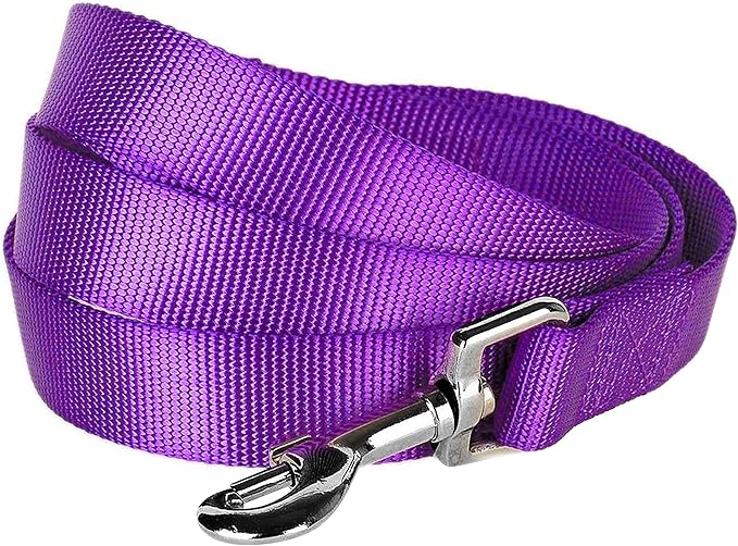 Blueberry Pet Essentials Durable Classic Dog Leash | Basic Nylon Dog Leash | 5ft. x 3/8" X-Small Dog Leash | Dark Orchid Dog Leash | Standard Dog Leashes & Lightweight Dog Leash for Training