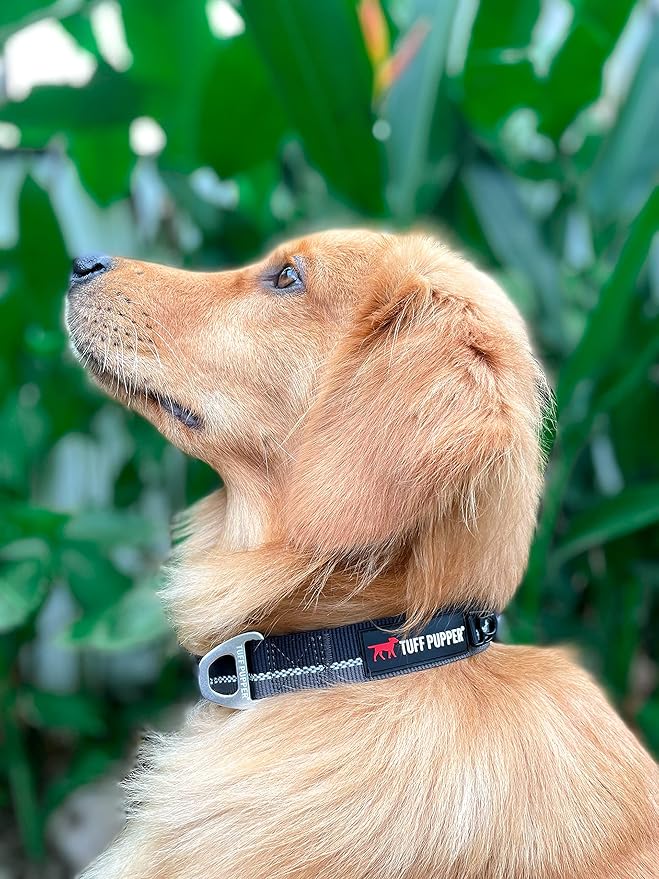 Tuff Pupper Heavy Duty Dog Collar | Reflective with Aluminum D-Ring Leash Clip | Separate Dog ID Tag Attachment | Easy Sizing for All Breeds