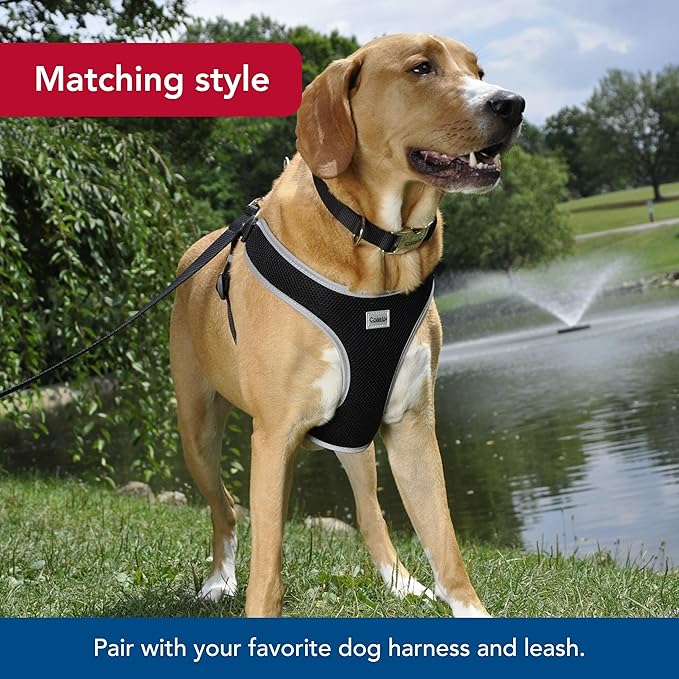 Coastal Pet Adjustable Dog Collar with Metal Buckle - Comfortable Fade-Resistant Dog Collar with Snap Lock - Perfect for Walking & Tie Outs - Black, 3/4" x 14" x 20"