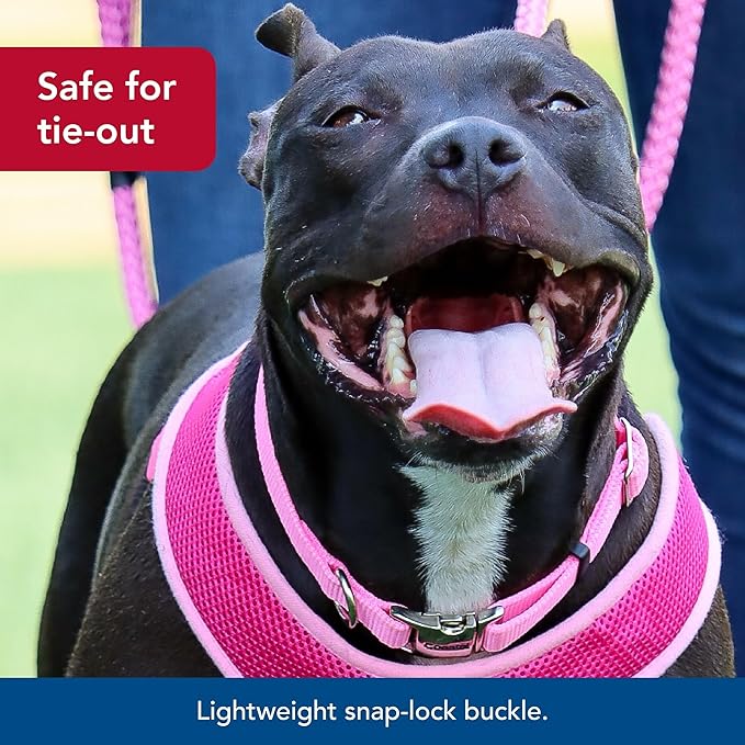 Coastal Pet Adjustable Dog Collar with Metal Buckle - Comfortable Fade-Resistant Dog Collar with Snap Lock - Perfect for Walking & Tie Outs - Pink Bright - 5/8" x 10"-14"