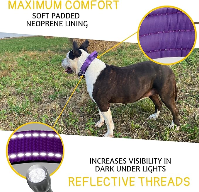 ADITYNA Heavy Duty Dog Collar for Extra-Large Dogs - Reflective Purple Collar with Handle for Training, and Walking - Wide, Thick, Tactical, Soft Neoprene Padded