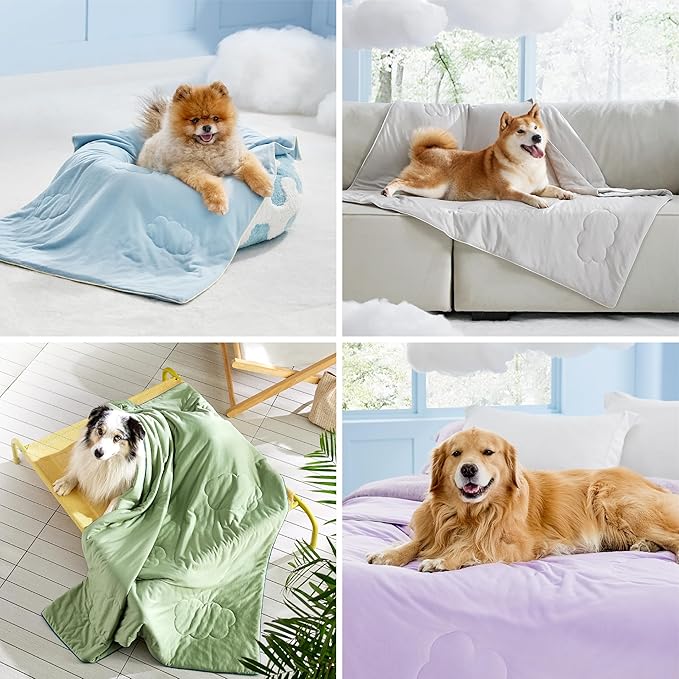 Lesure Premium Cooling Blanket for Extra Large Dogs Washable - Breathable Pet Throw Blanket with Q-MAX>0.4 for Summer,Soft Cat Cooling Mat, Furniture Protector Bed Couch, Grey, 50x60