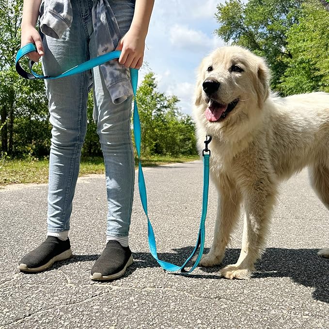 Joytale Dog Leash Heavy Duty for Large Dogs That Pull, Double Handle for Traffic Control, Double-Sided Reflective Leashes for Large Medium Dogs Night Safety, 4FT, Aqua Blue