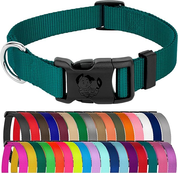 Country Brook Petz - American-Made Dog Collar for Large, Medium, and Small Dogs and Puppies - Deluxe Heavy Duty Nylon in 33 Dazzling Colors (Extra Small, 3/8 Inch Wide, Teal)