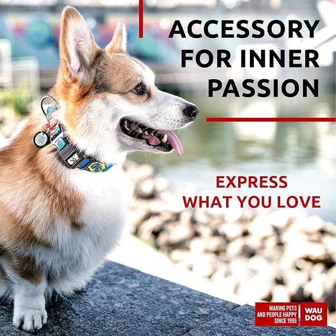 WAUDOG Nylon Dog Collar - Adjustable Dog Collar for Large Dogs, Small & Medium Dogs - Breakaway Puppy Collars for Large Breed Dogs - Boy & Girl Dog Collars with Durable Plastic Buckle and QR Dog Tag