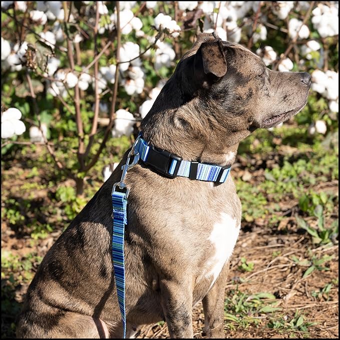 Country Brook Petz - Deluxe Blue Serape Dog Collar - Made in The U.S.A. - Country and Western Collection Featuring Rustic Designs (1 Inch, Medium)