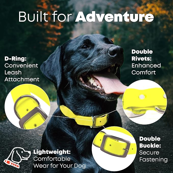 Regal Dog Products Small Yellow Waterproof Dog Collar and Leash Set | Heavy Duty Double Buckle & D Ring - 5'ft Leash | Adjustable Biothane Dog Collar | Chew Resistant Waterproof Collar for Dogs