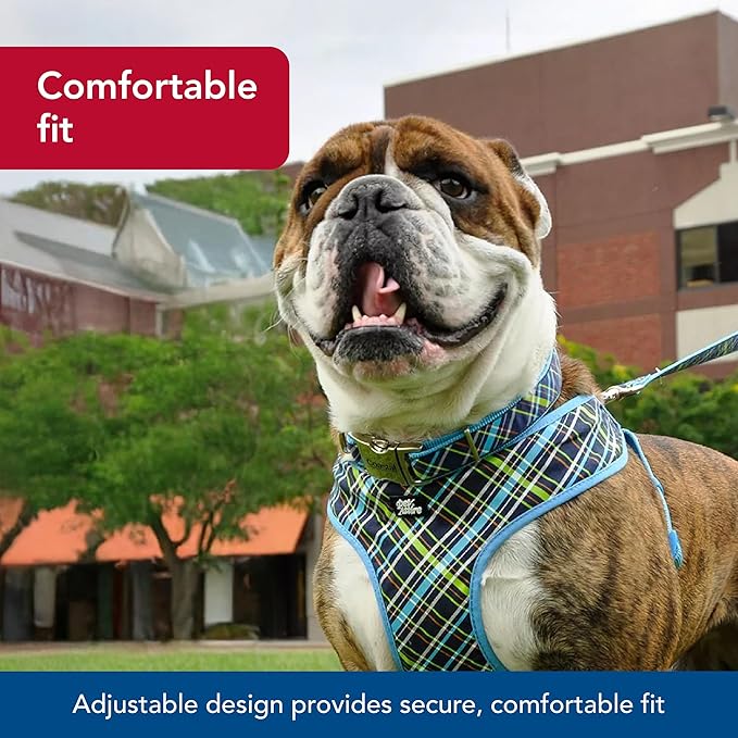 Coastal Pet - Ribbon - Adjustable Dog Collar with Metal Buckle, Brown Paws and Bones, 1" x 18"-26"