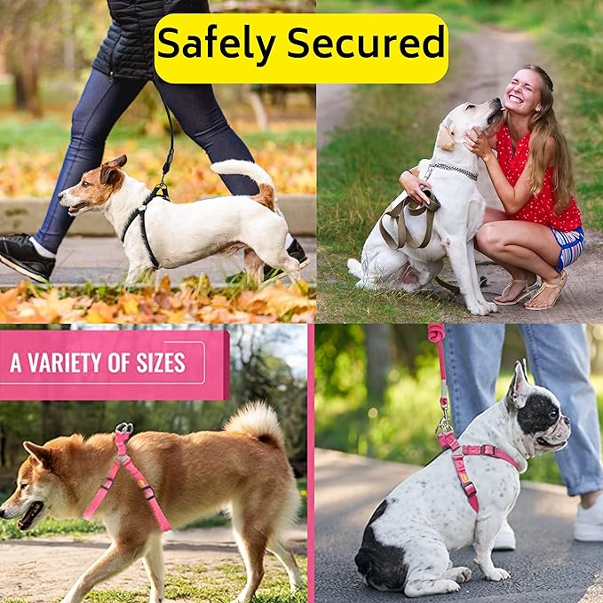Step in No Pull Dog Harness, Free Upgrade Ultra Durable Dog Rope Leash Harness Nylon (2-in-1) Non-Slip Adjustable, Easy Control Handle, Strong Metal, Vest Harness for Puppy Dog - Blue M