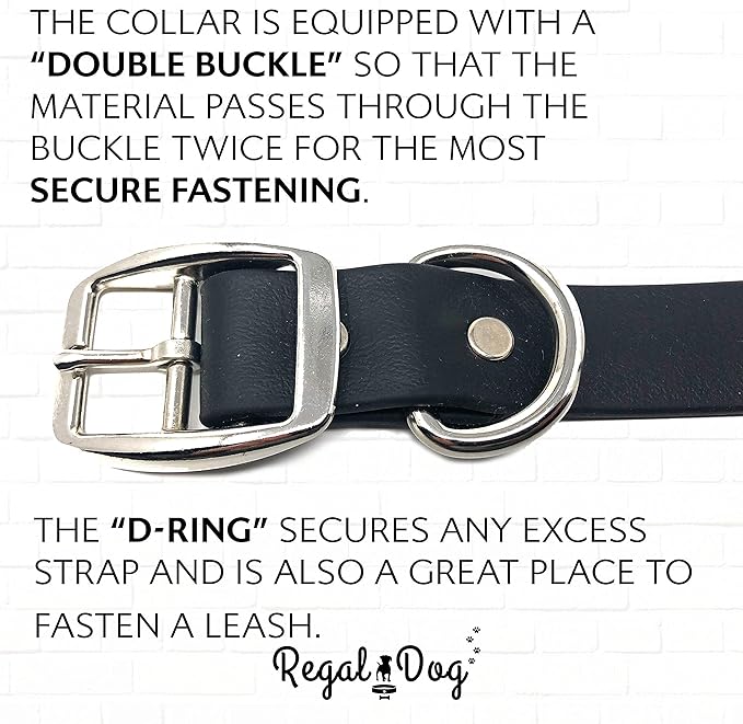 Regal Dog Products Small Black Waterproof Dog Collar and Leash Set | Heavy Duty Double Buckle & D Ring - 5'ft Leash | Adjustable Biothane Dog Collar | Chew Resistant Waterproof Collar for Dogs
