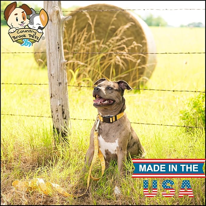 Country Brook Petz - Deluxe Yellow Bandana Dog Collar - Made in The U.S.A. - Country and Western Collection Featuring Rustic Designs (5/8 Inch, Small)