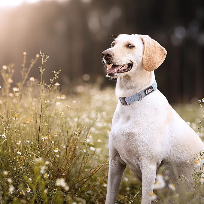 Light Blue Hemp Dog Collar - Hypoallergenic Dog Collar - Comfortable for Sensitive Skin or Allergies with no Harsh Dyes or Chemicals - 5 Sizes from X-Small to x-Large Breeds