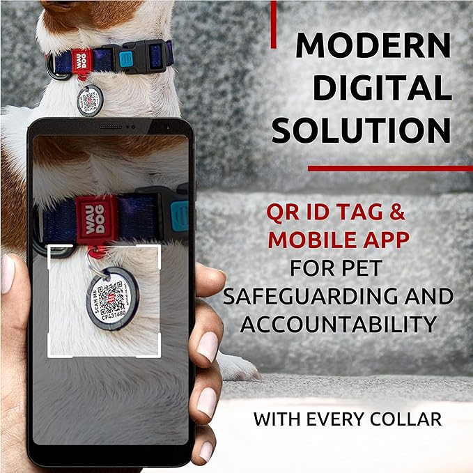 WAUDOG Nylon Dog Collar - Adjustable Dog Collar for Large Dogs, Small & Medium Dogs - Breakaway Puppy Collars for Large Breed Dogs - Boy & Girl Dog Collars with Durable Plastic Buckle and QR Dog Tag