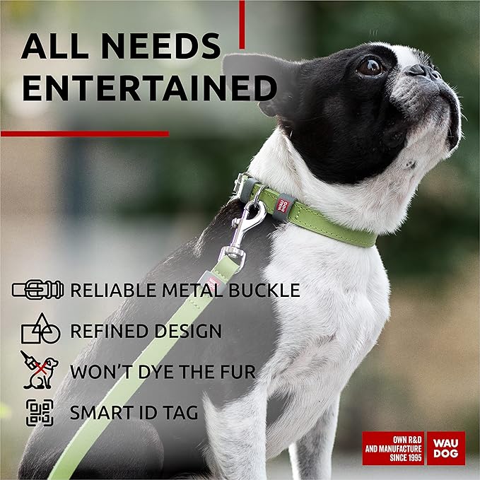 WAUDOG Long Lasting Leather Dog Collar for Large Dogs, Medium & Small Dogs - Adjustable Classic Puppy Collars for Large Breed Dogs - Boy & Girl Dog Collars with Durable Buckle, D-Ring & QR Dog Tag