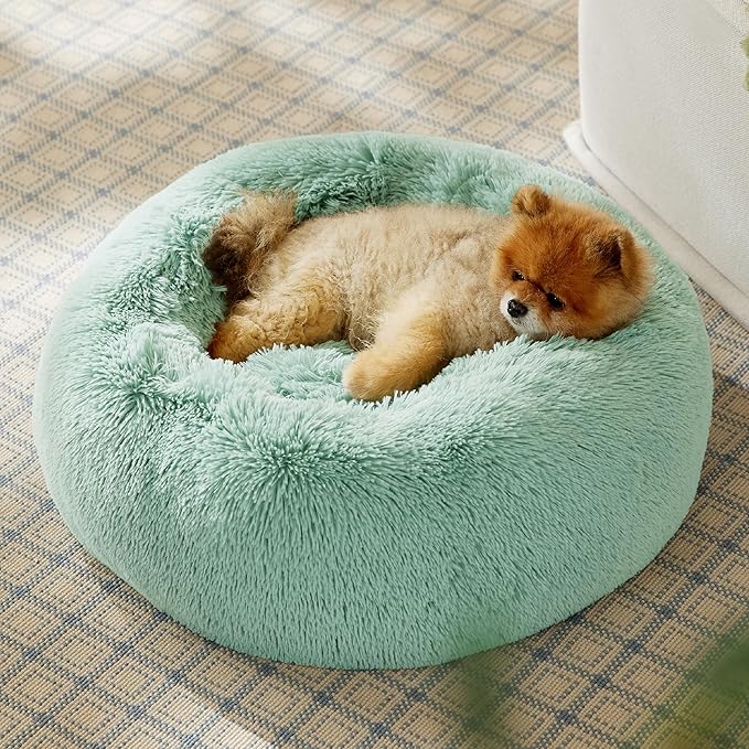 Bedsure Calming Dog Bed for Small Dogs - Donut Washable Small Pet Bed, 23 inches Anti-Slip Round Fluffy Plush Faux Fur Large Cat Bed, Fits up to 25 lbs Pets, Garden Green
