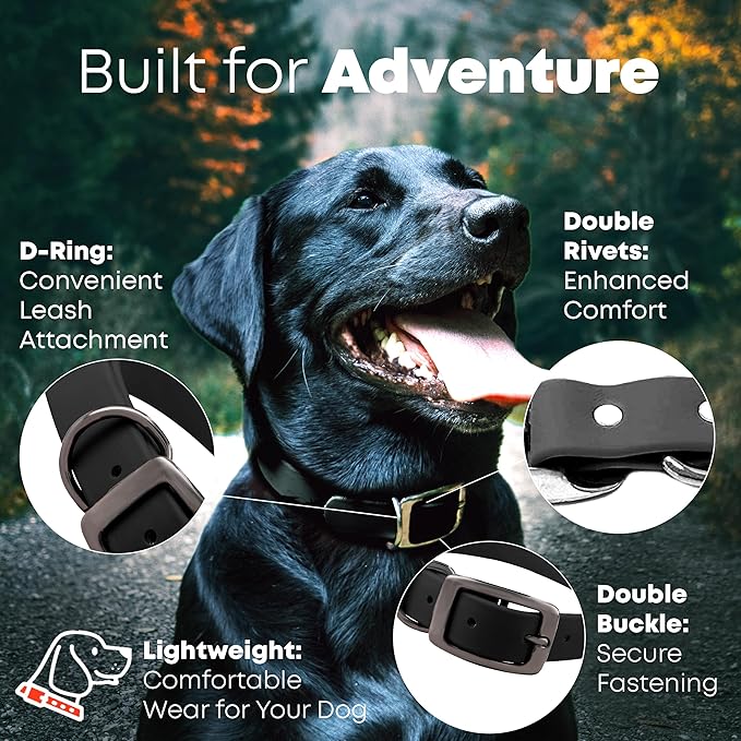 Regal Dog Products Small Black Dog Collar with Heavy Duty Double Buckle & D Ring | Vinyl Coated, Custom Fit, Adjustable Biothane Dog Collar | Chew Resistant Waterproof Collar for Dogs