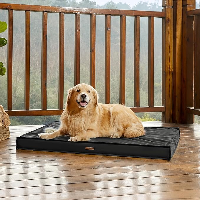 Lesure Outdoor Waterproof Dog Bed for Extra Large Dogs, Orthopedic Egg Crate Foam Pet Bed with Oxford Fabric Surface and Removable and Durable Cover, Machine Washable, 44''x32'', Black