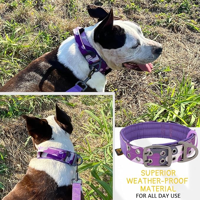ADITYNA Heavy Duty Dog Collar for Medium Dogs - Camo Purple Collar with Handle for Training, and Walking - Wide, Thick, Tactical, Soft Neoprene Padded
